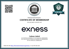 Explore the Benefits of Exness ECN Demo Trading 0